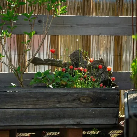 Hygge - Bright Cottage-style With Terrace & Free Weekend Parking